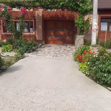 Casa Elena Eselnita Hotel Екстериор снимка