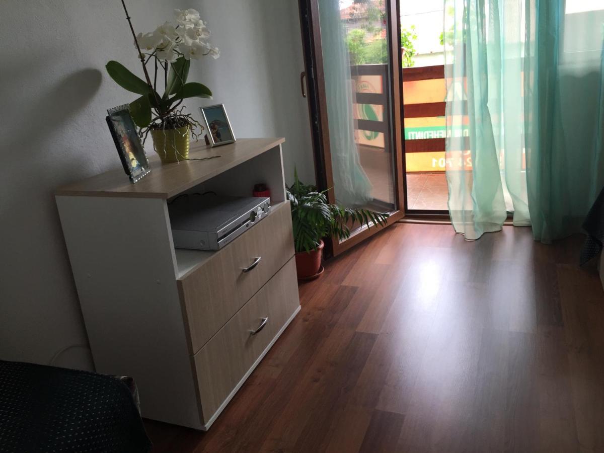 Casa Elena Eselnita Hotel Екстериор снимка