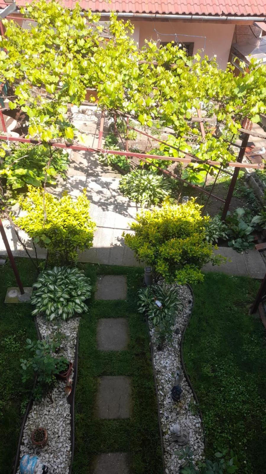 Casa Elena Eselnita Hotel Екстериор снимка